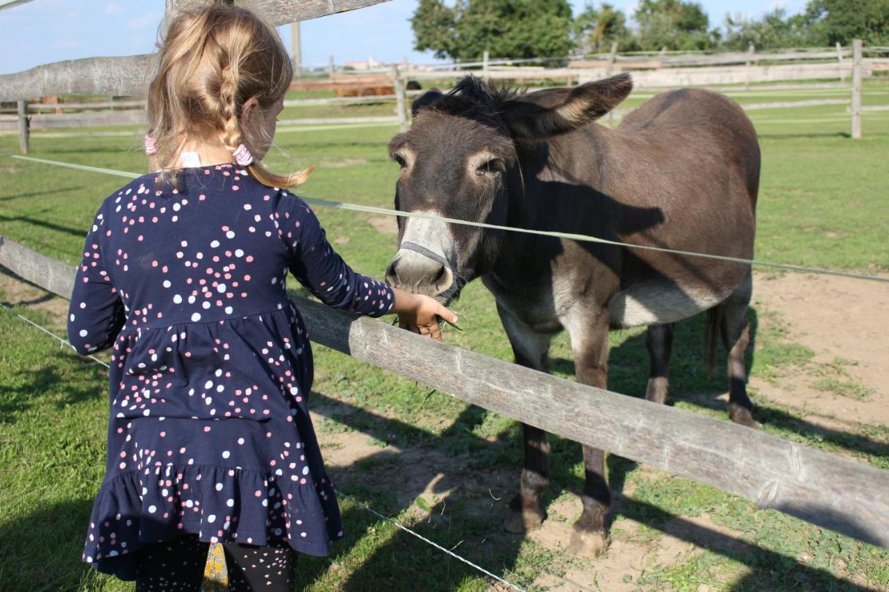 הוילה Mělník Zoopark Zelcin מראה חיצוני תמונה