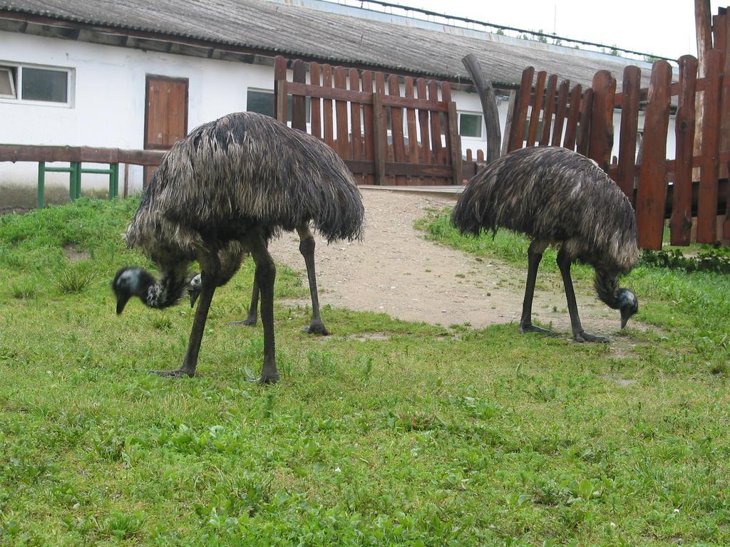 הוילה Mělník Zoopark Zelcin מראה חיצוני תמונה